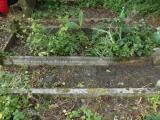 image of grave number 790643